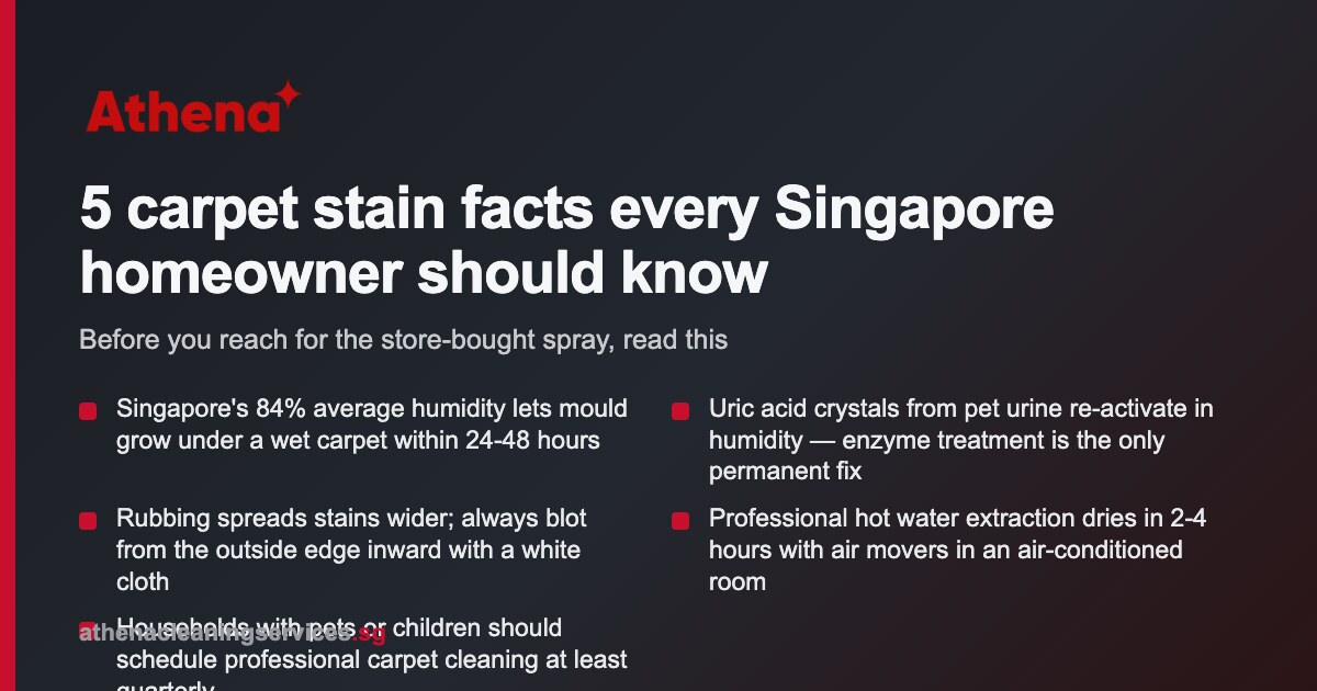 Carpet Stain Removal Service Singapore