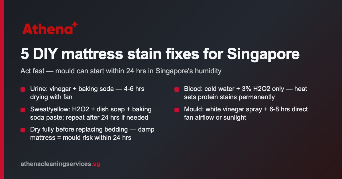 DIY Mattress Stain Removal Methods Singapore