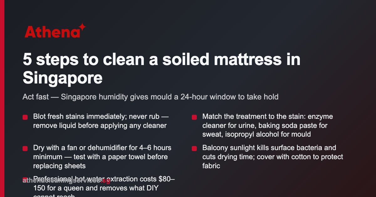 How to Clean a Soiled Mattress in Singapore