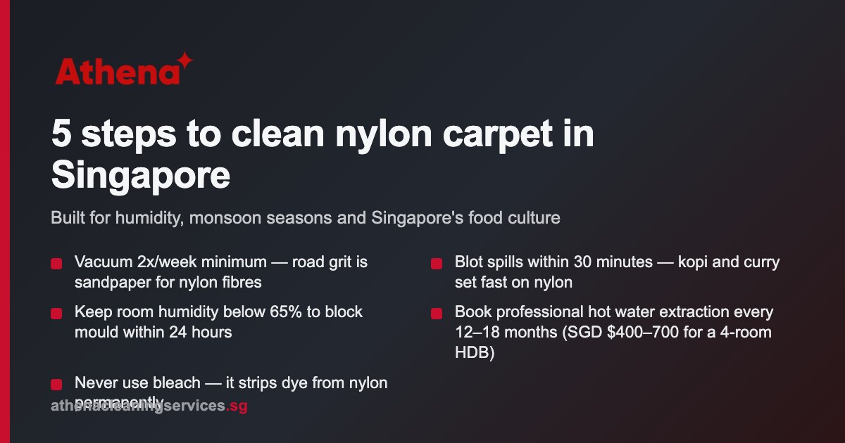 How to Clean Nylon Carpet Singapore