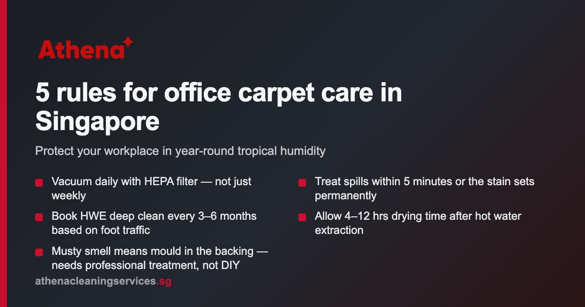 How to Clean Office Carpets Singapore