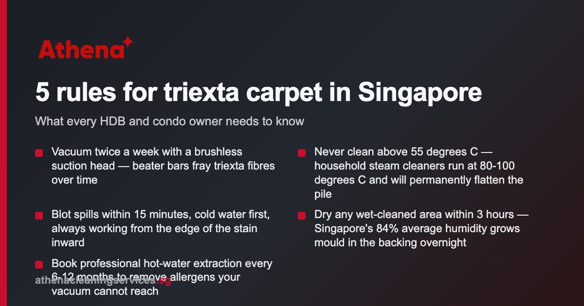 How to Clean Triexta Carpet Singapore