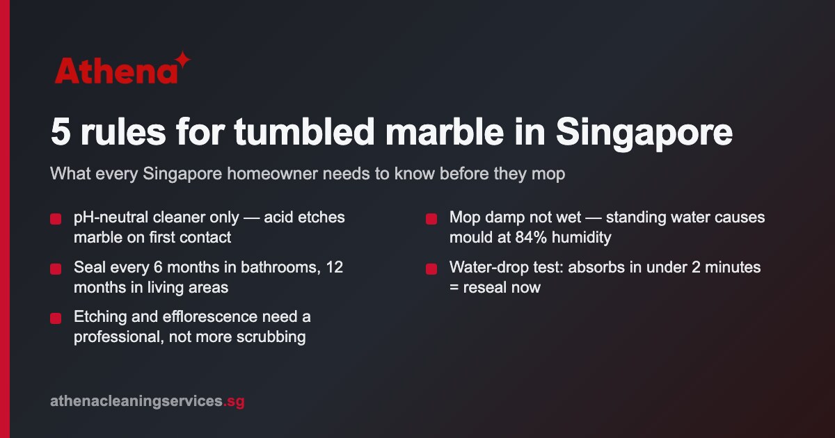 How to Clean Tumbled Marble Flooring Singapore