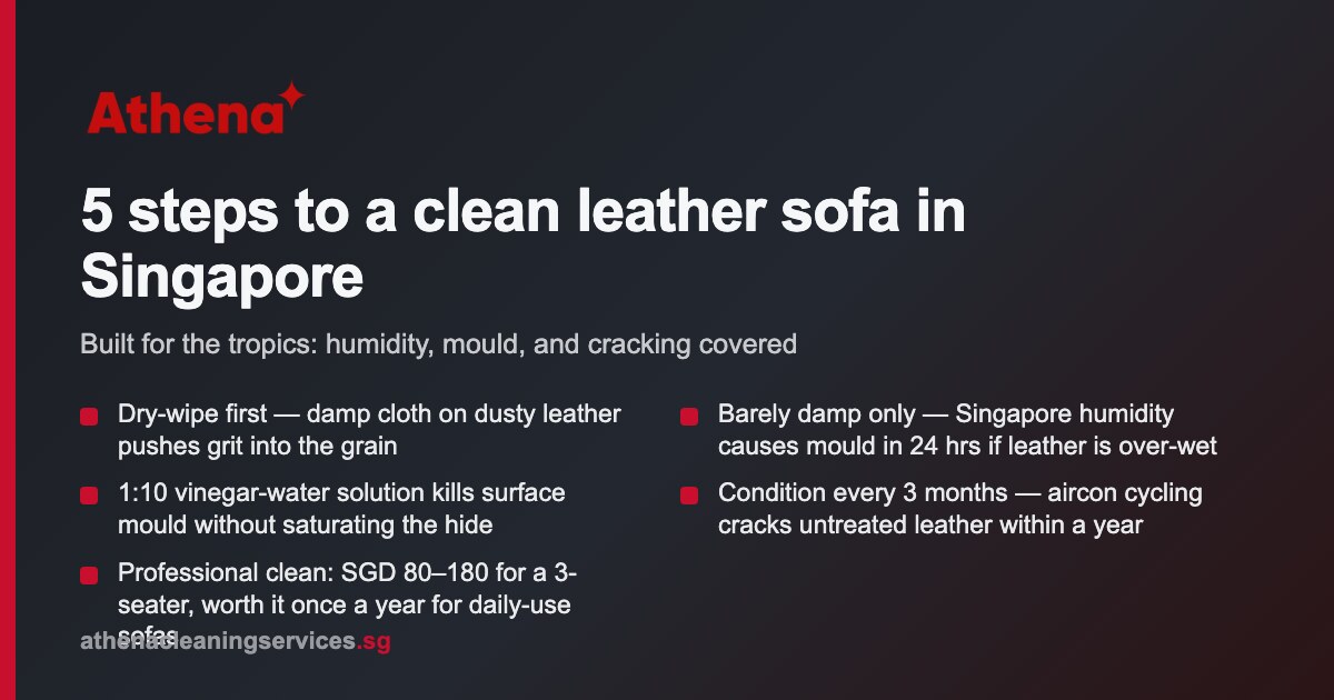 How to Clean Your Leather Sofa Singapore
