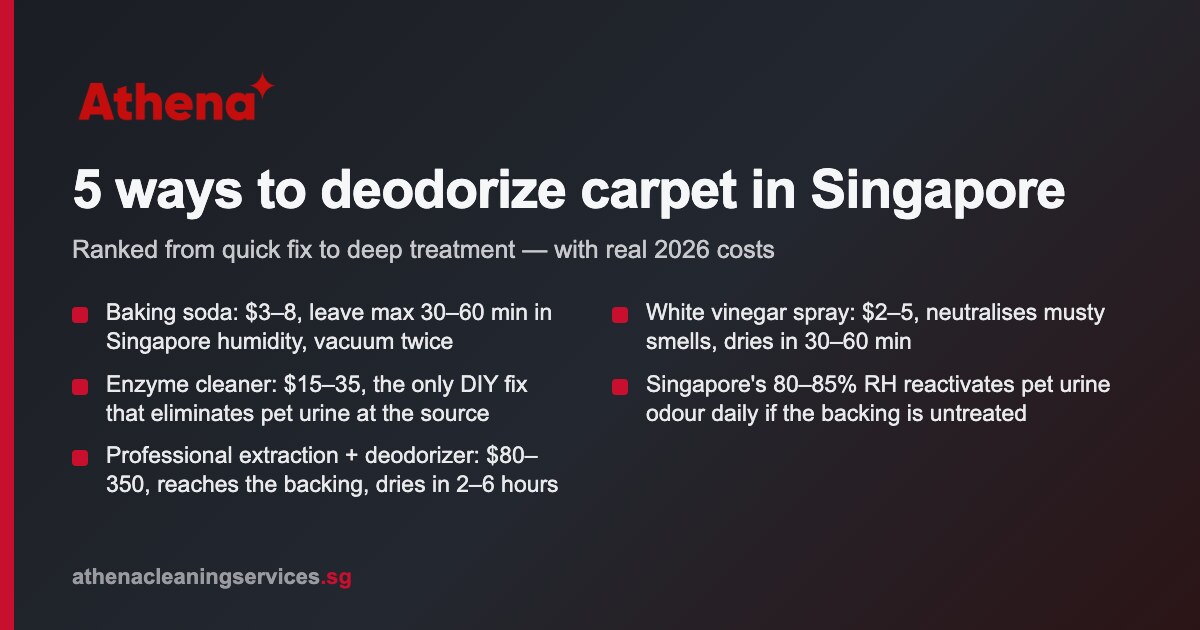 How to deodorize carpet in Singapore