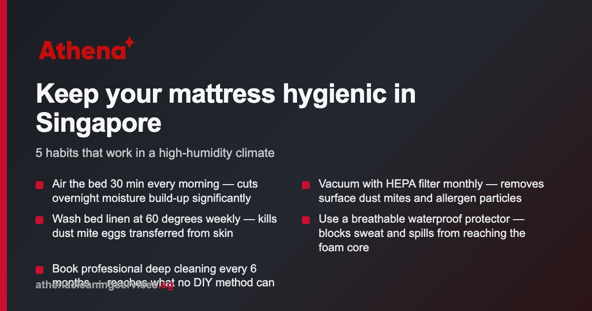 How to Keep Your Mattress Hygienic in Singapore