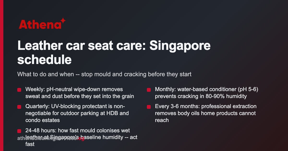 Leather Car Upholstery Care Singapore