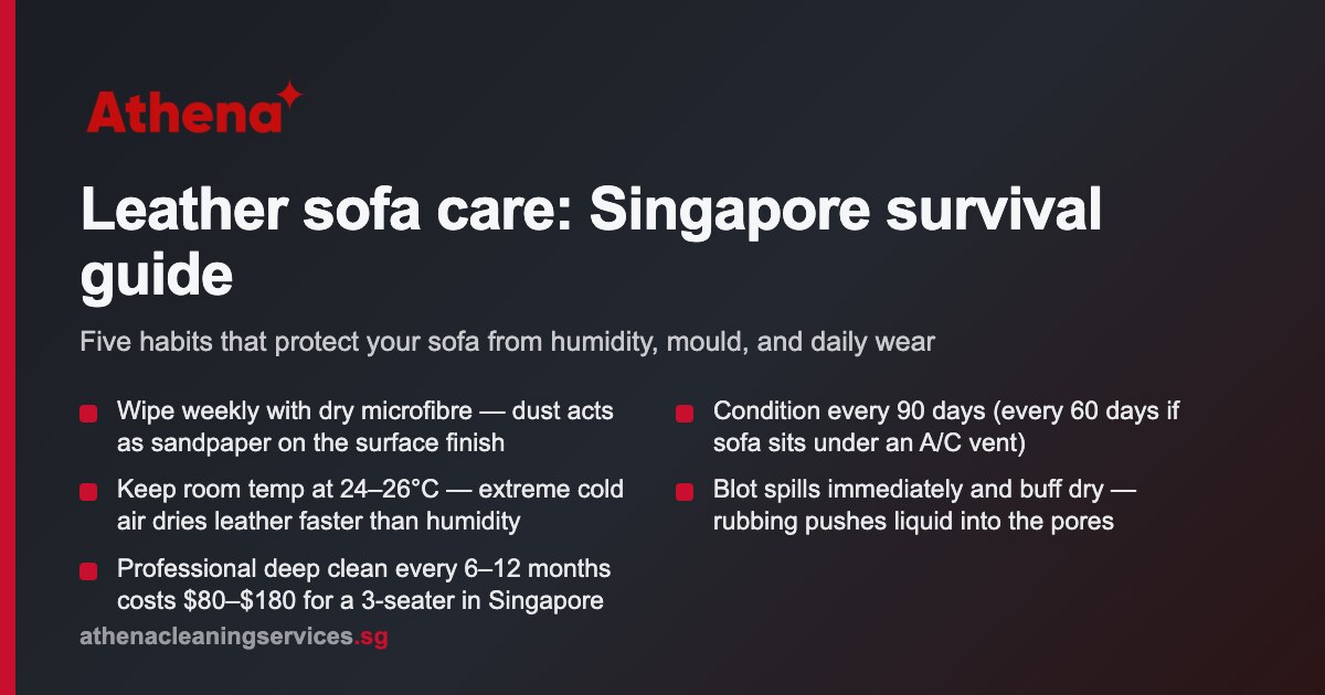 Leather Sofa Care Singapore: Full Guide