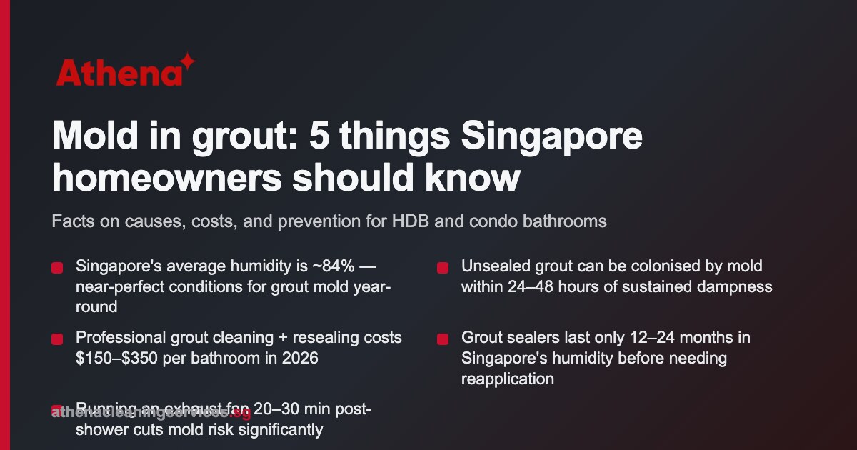 Mold in Grout Singapore: Remove & Prevent It