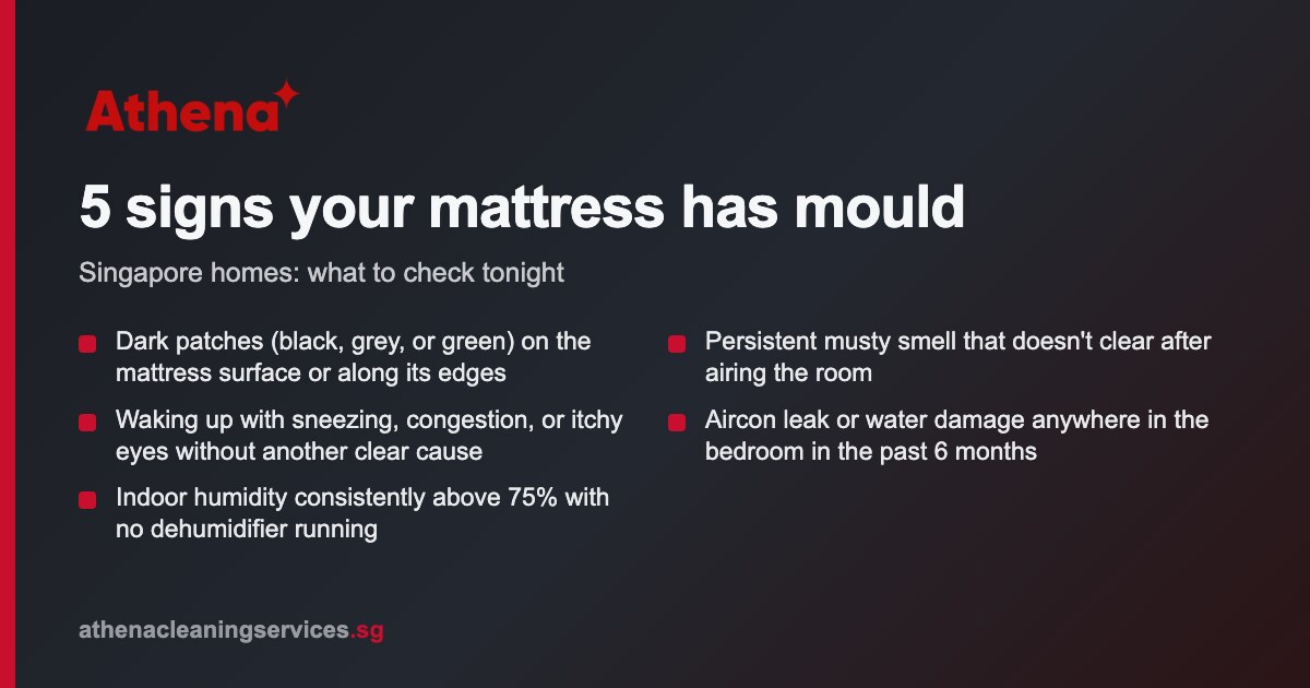 Mould Removal for Mattresses & Pillows Singapore