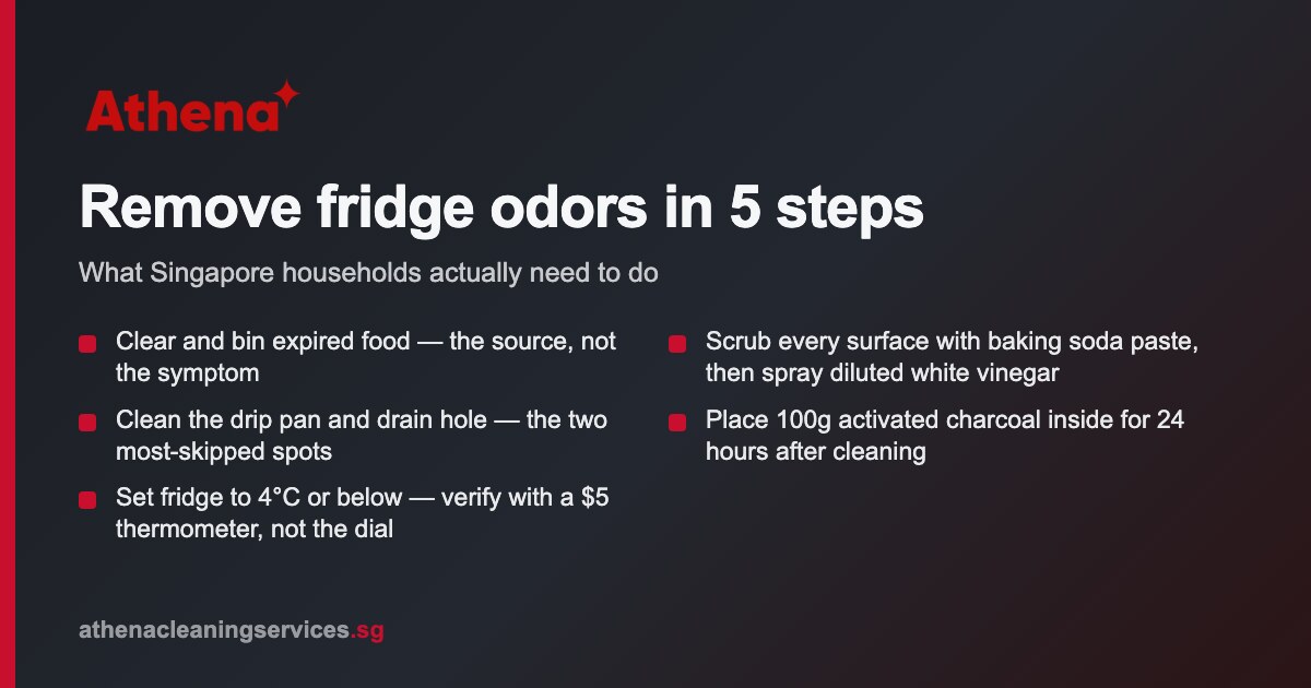 Remove odors from fridge Singapore: full guide