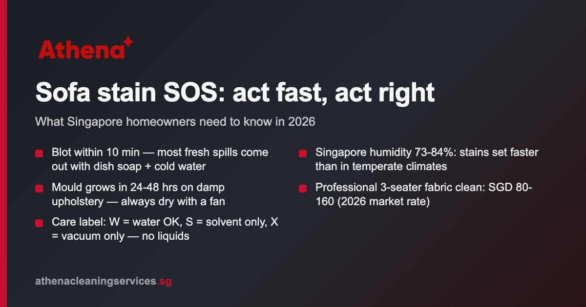 Sofa stain removal Singapore: guide + costs