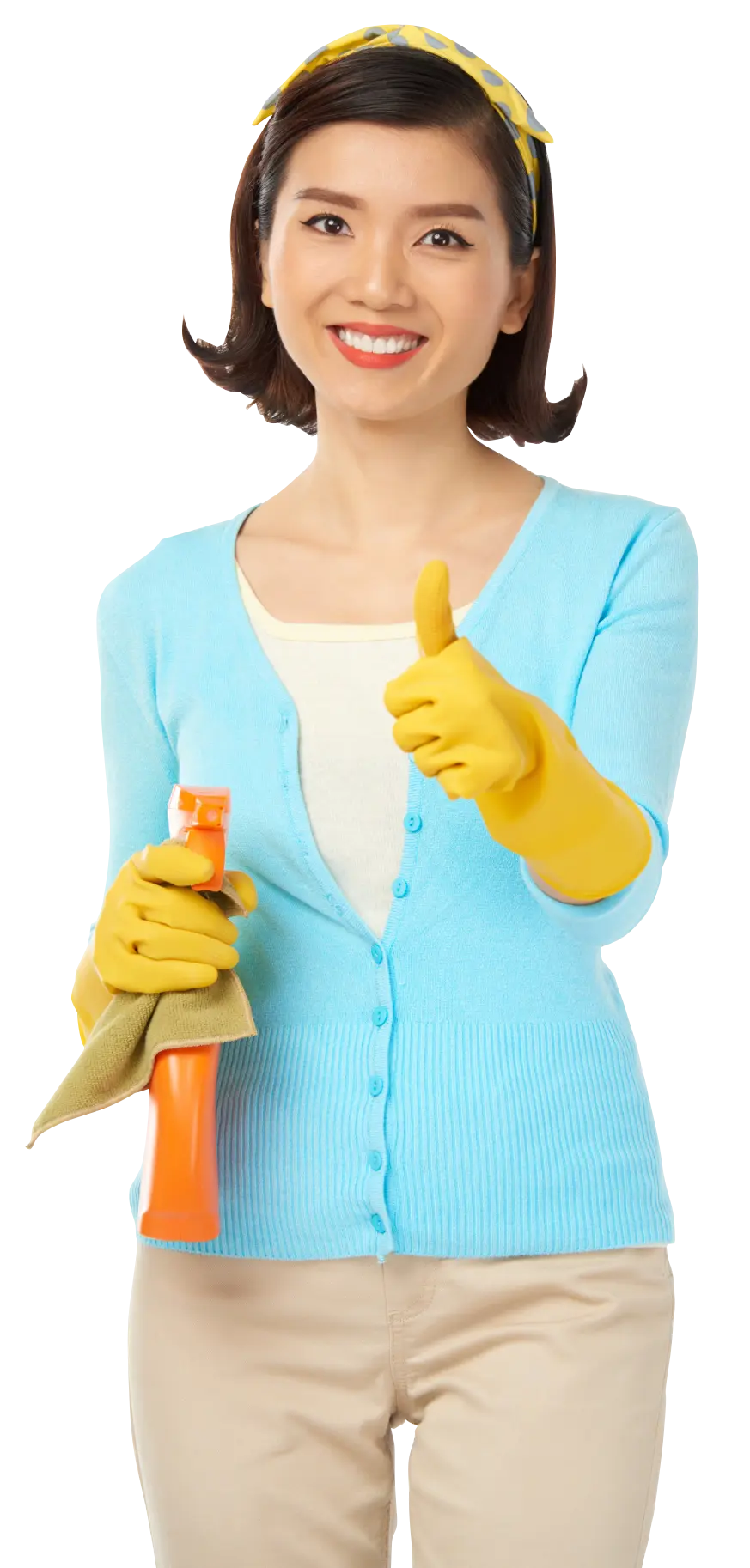 Cleaning Lady | Athena Cleaning Services