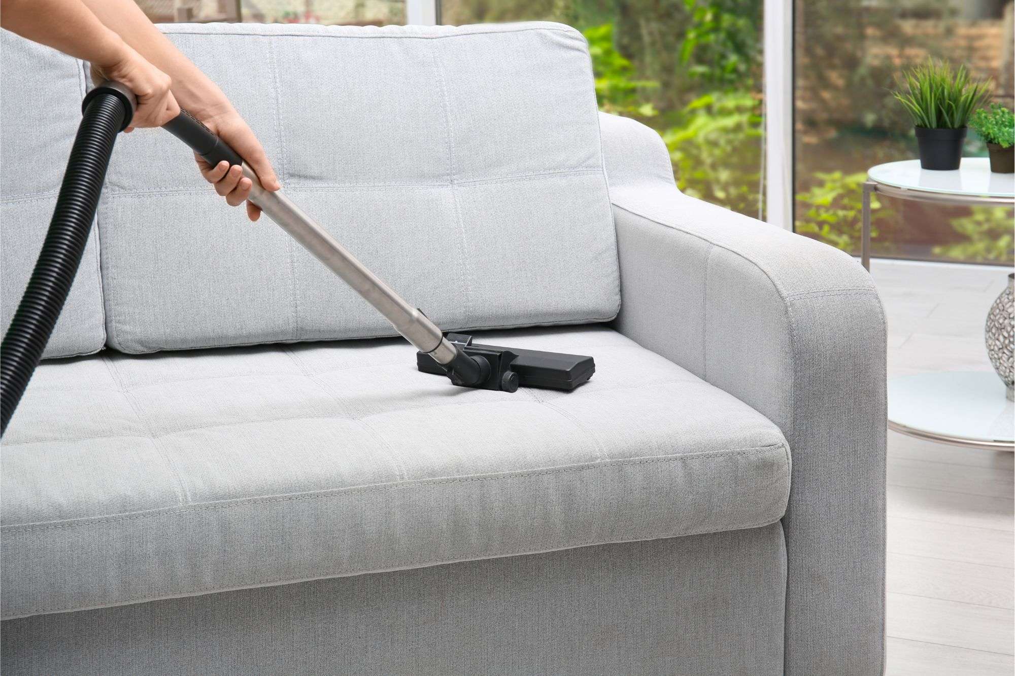 Upholstery Cleaning | Athena Cleaning Services