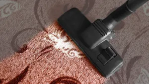 Vacuum head lifting spilled powder from a patterned carpet