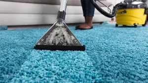 Extraction wand deep cleaning a bright blue shag rug