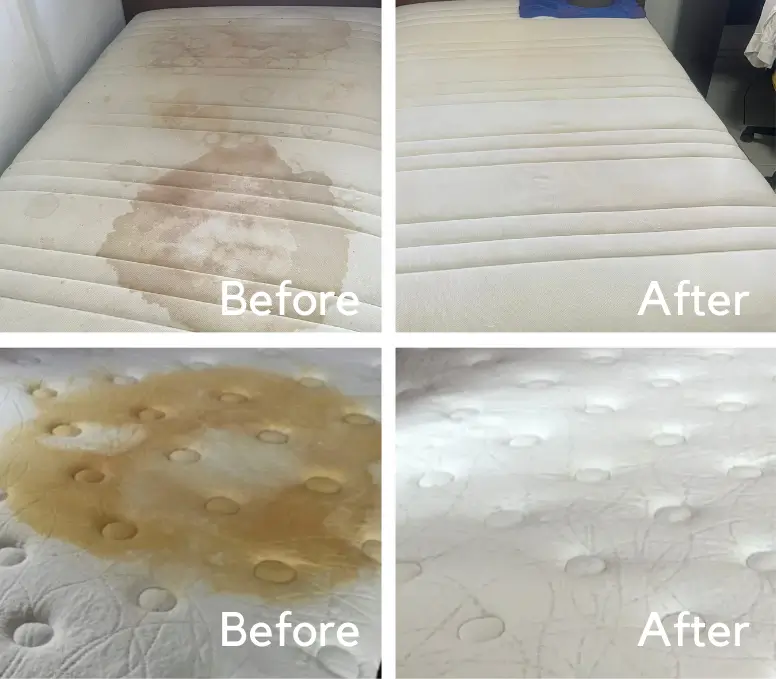 Athena Flyer-before-after-1-1