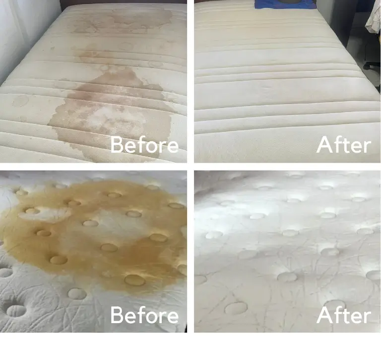 Athena Flyer-before-after-7-1