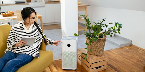 Creating a Healthy Home Environment: Simple Steps to Reduce Allergens