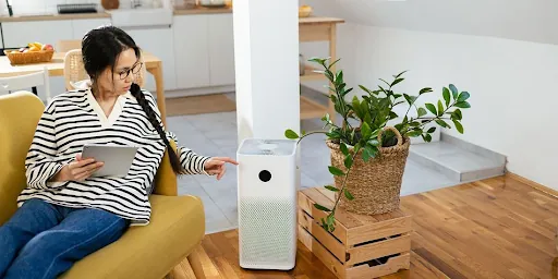 Creating a Healthy Home Environment: Simple Steps to Reduce Allergens