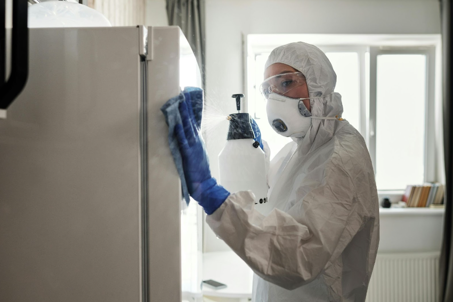 Athena Team Cleaning Services for a Pest free Home