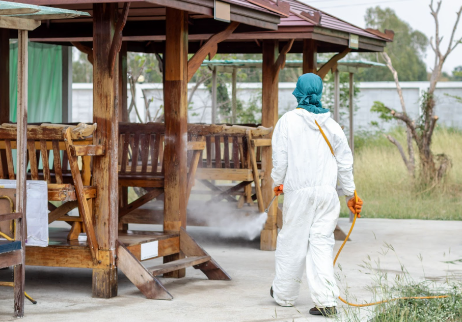 Benefits of Professional Outdoor Treatment Program Services in Singapore