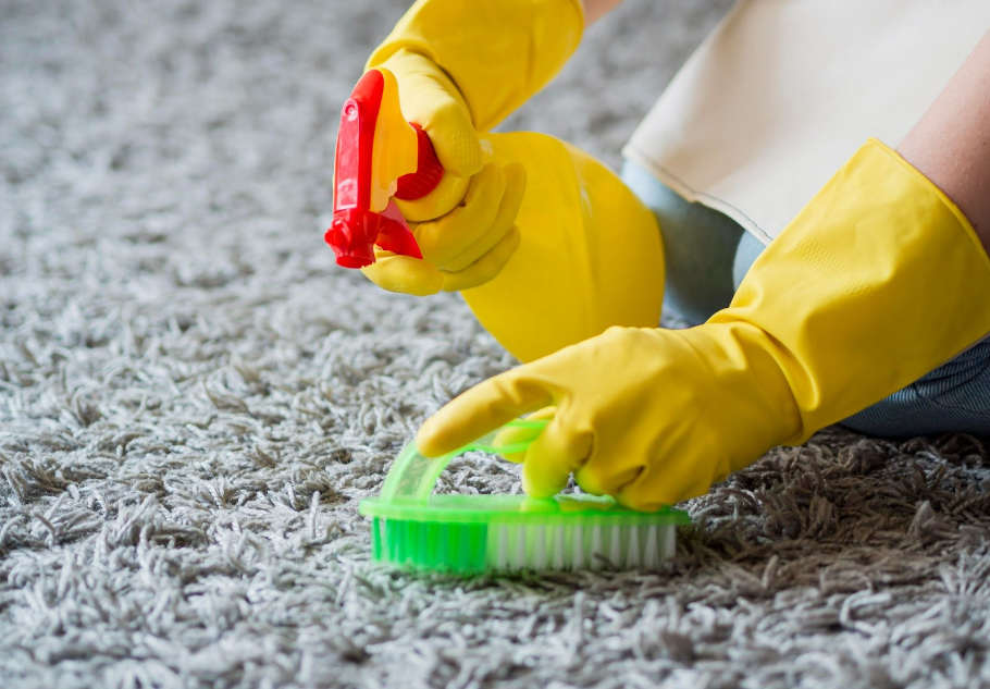 The Importance of Eco-Friendly Carpet Cleaning Services