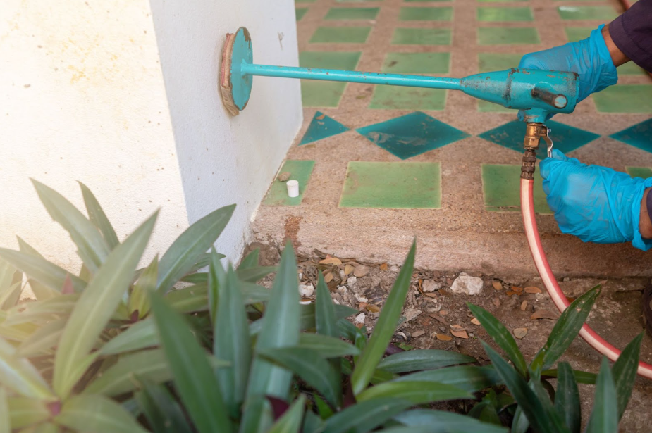 The Importance of Regular Outdoor Treatment Programs for a Pest-Free Home in Singapore