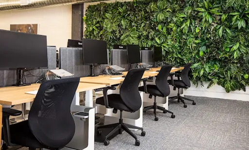 Sustainability in the Workplace: Implementing Green Office Practices