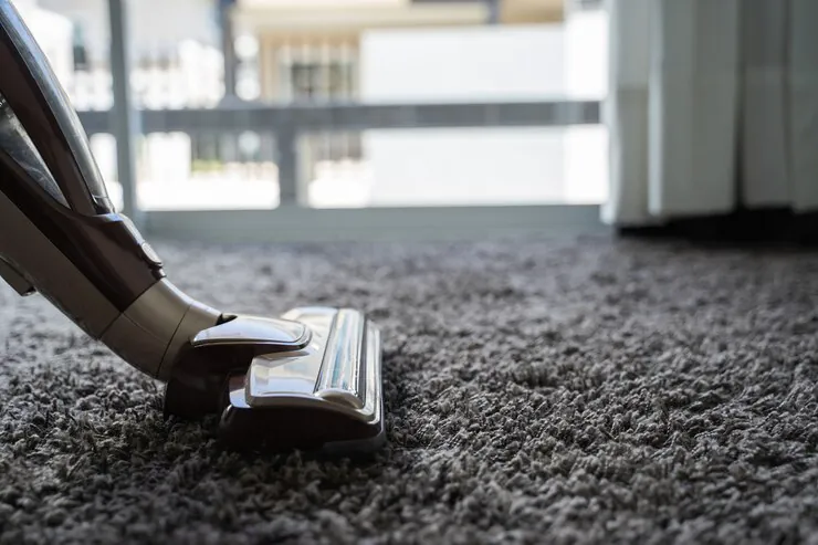 Vacuum head lifting dust from a deep pile grey rug