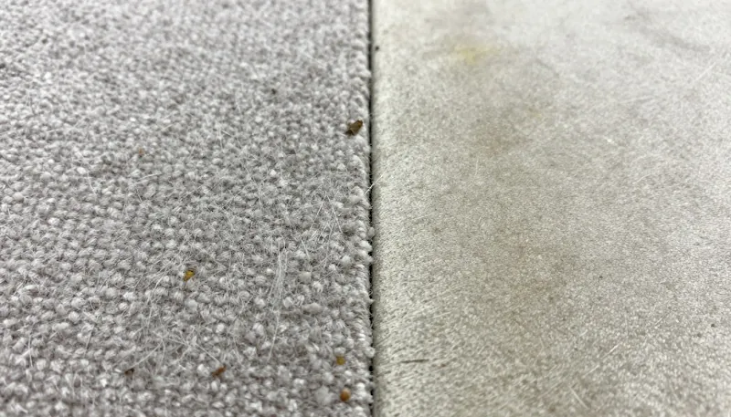 Close-up comparison of two carpet pile textures