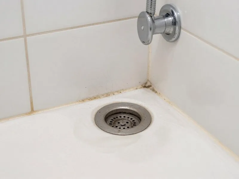 Mouldy grout around a shower drain and tiled corner