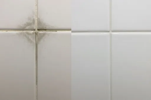 Mould growing along tile grout lines