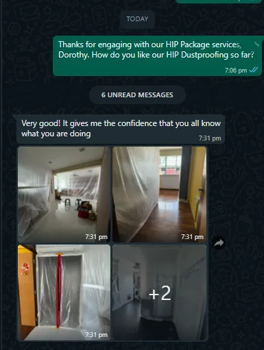 WhatsApp message from Dorothy about hip dustproofing