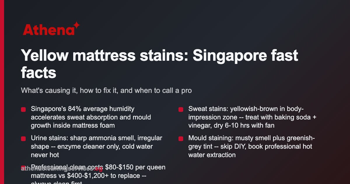 Yellow mattress stains Singapore: causes & fixes
